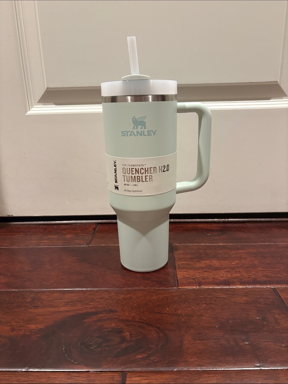 Stanley Quencher H2.0 Tumbler with Handle in Mint Green